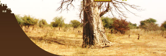 africa boulba